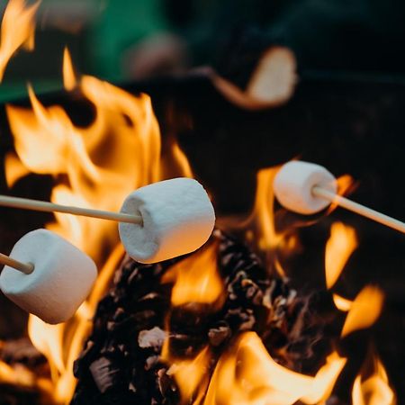 Fen Meadows Glamping - Luxury Cabins And Bell Tents Cambridge  Eksteriør billede