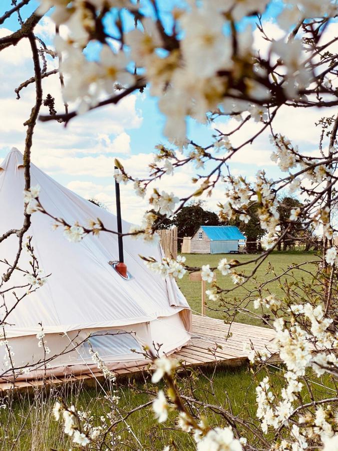 Fen Meadows Glamping - Luxury Cabins And Bell Tents Cambridge  Eksteriør billede