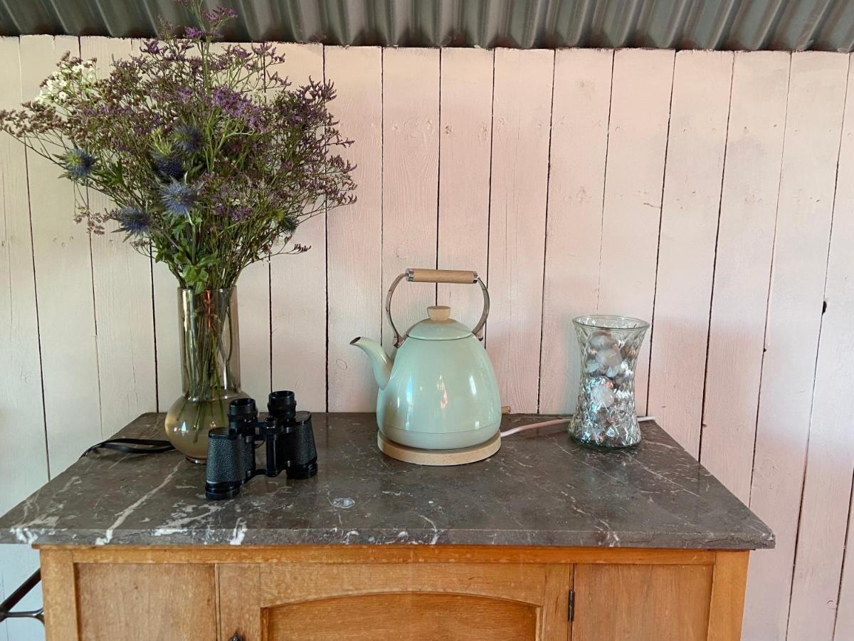 Fen Meadows Glamping - Luxury Cabins And Bell Tents Cambridge  Eksteriør billede