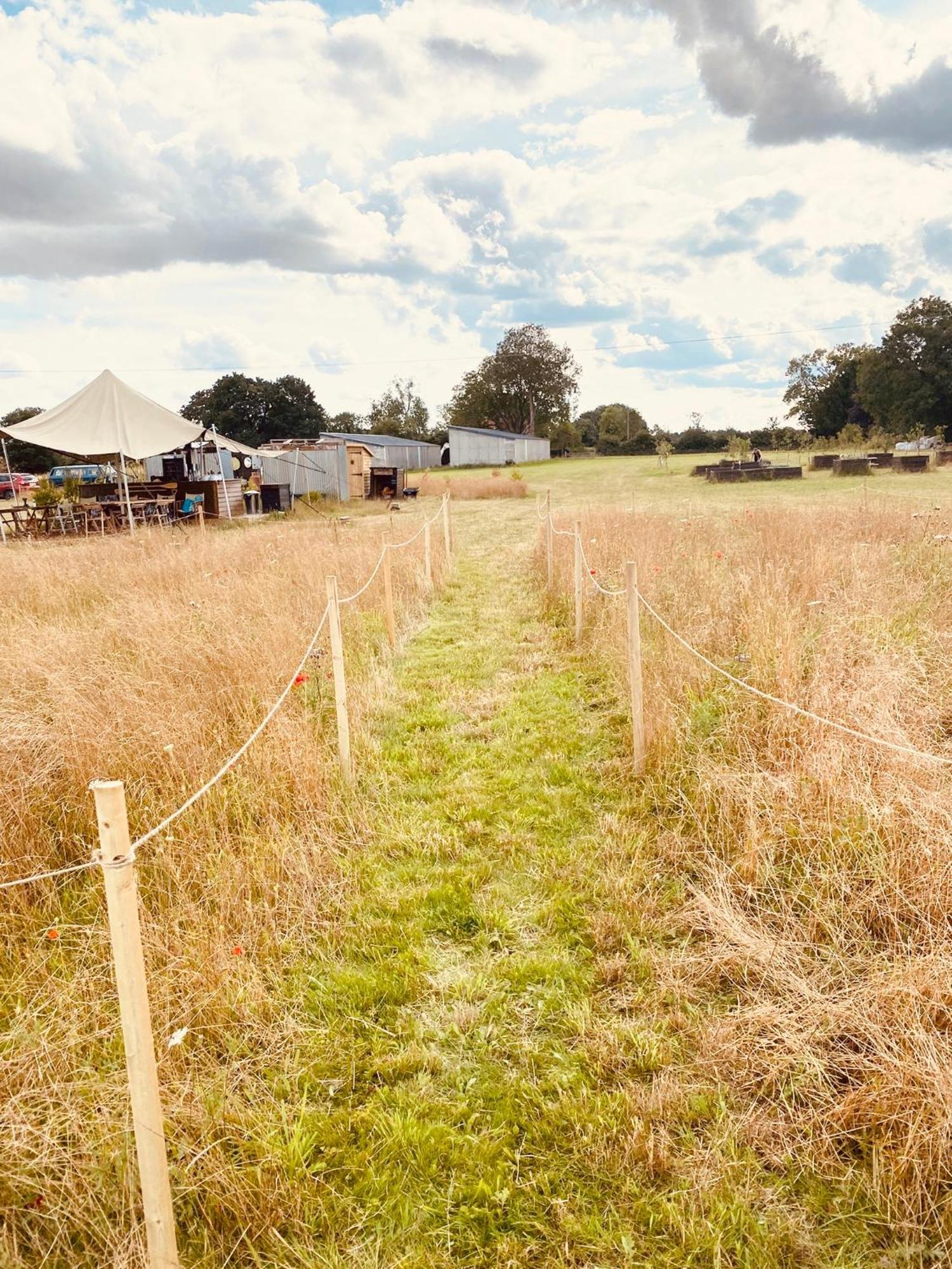Fen Meadows Glamping - Luxury Cabins And Bell Tents Cambridge  Eksteriør billede